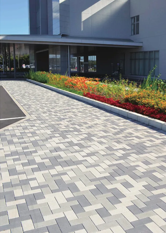 LOW CARBON PAVE(ローカーボン・ペイブ)